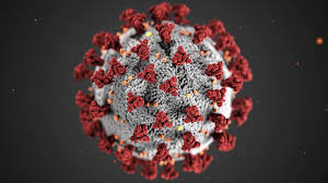 HMPV Virus In India