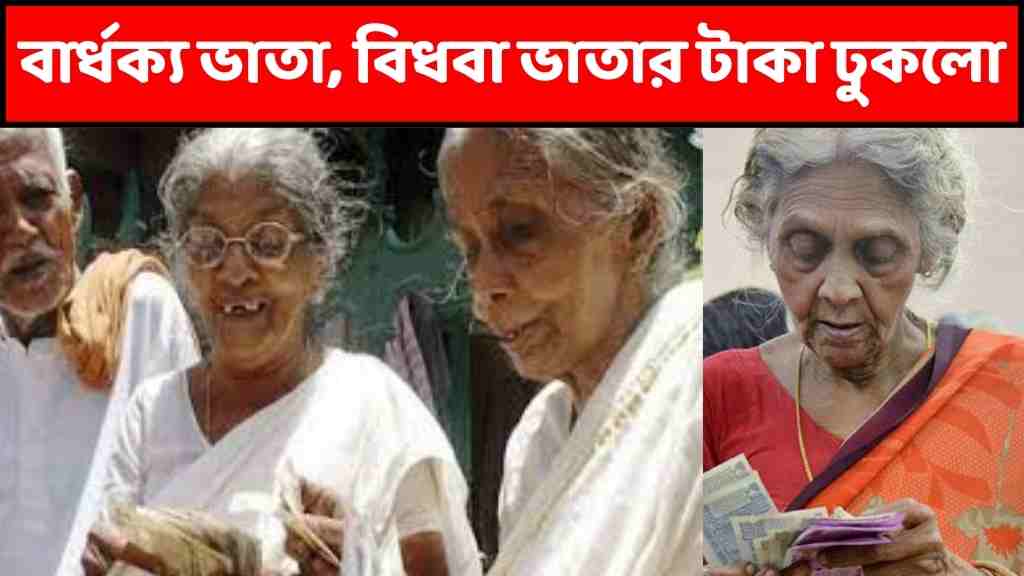 বার্ধক্য ভাতা